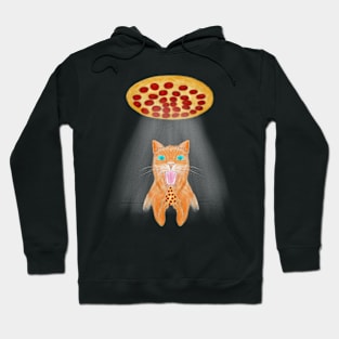 Cat pizza lover Hoodie